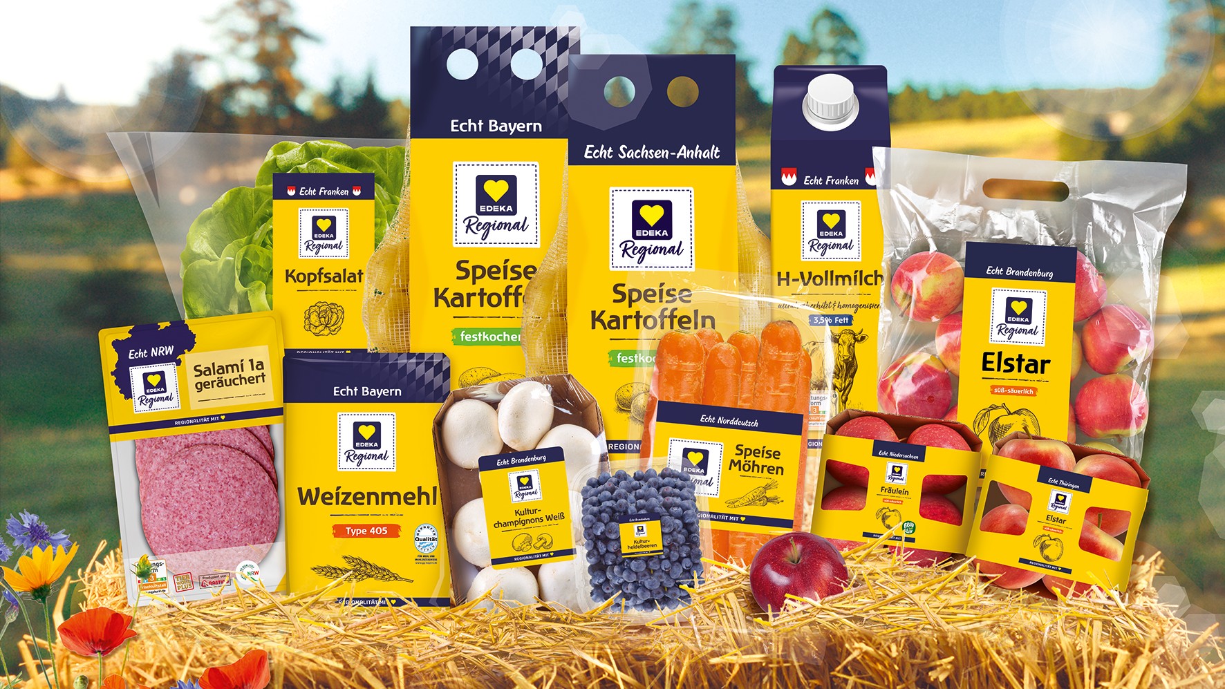 EDEKA Regional