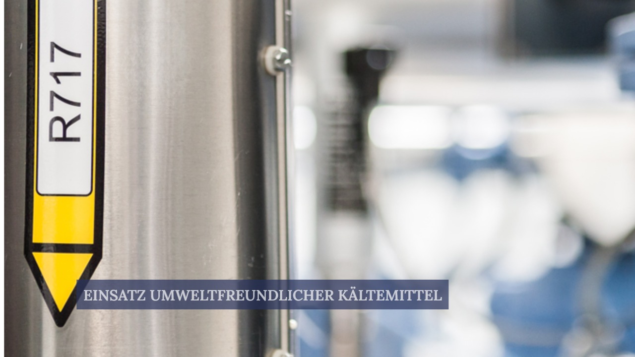 Kälte- und Lagersysteme