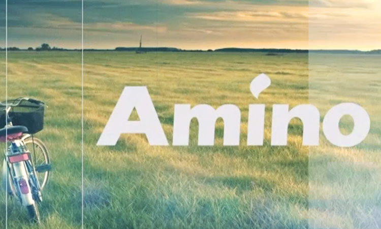 Unternehmensvideo Amino-Chem