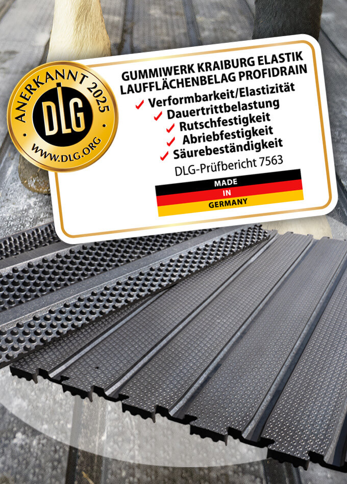 profiDRAIN Rinnenmatte