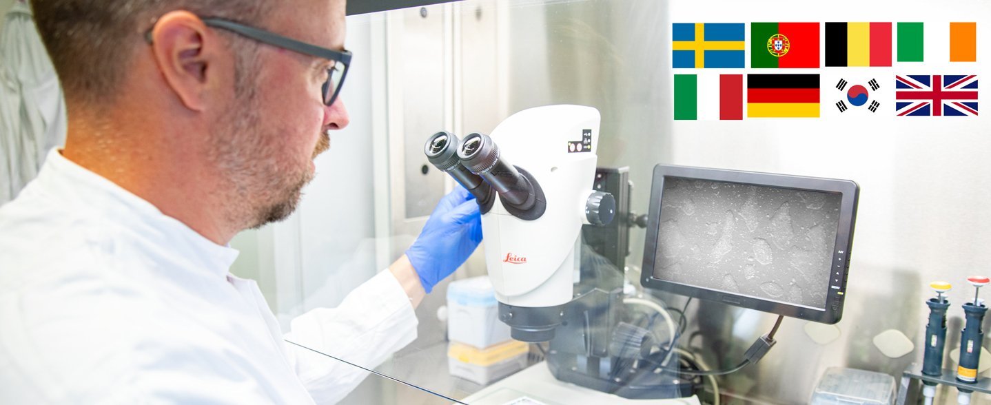 Research at the microscope