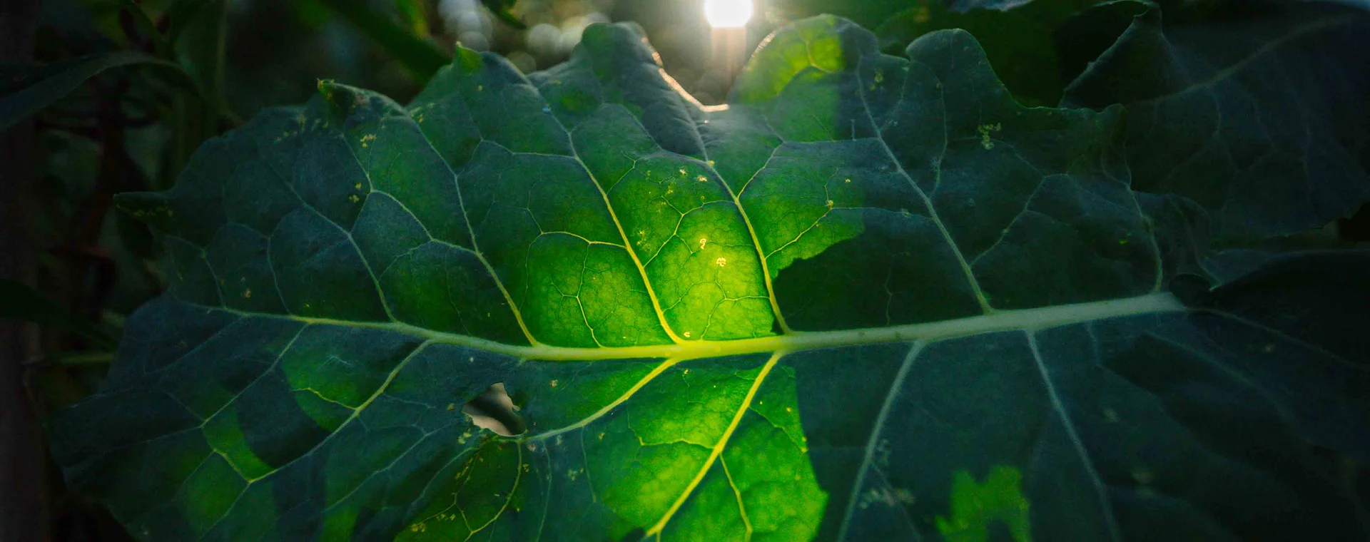 Garten und Boden Anwendung