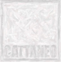 Logo Ferriere Cattaneo SA
