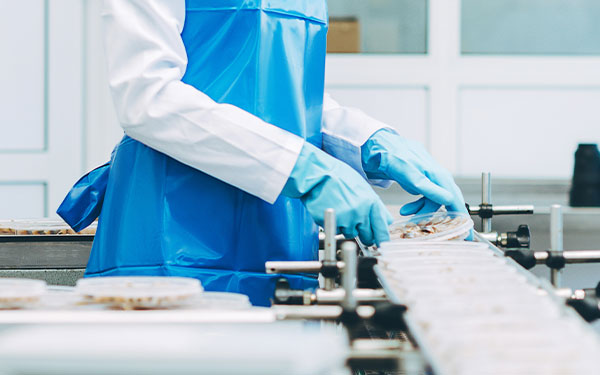 Calciumsulfat E516 für die Lebensmittelindustrie
