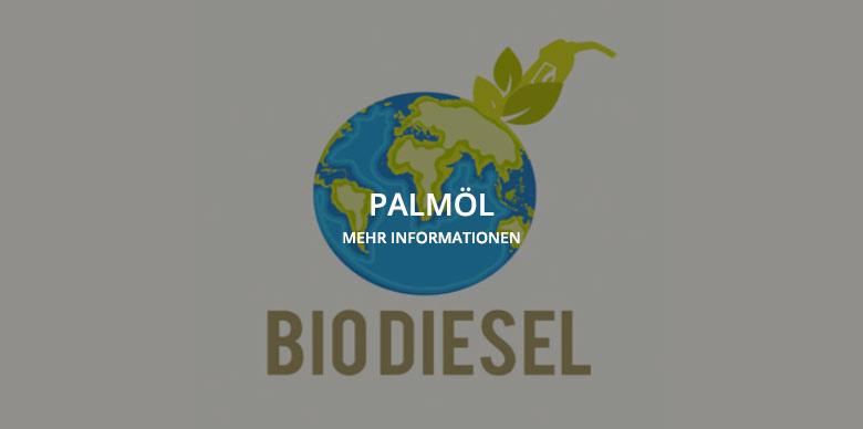 Pumpeneinsatz Palmöl