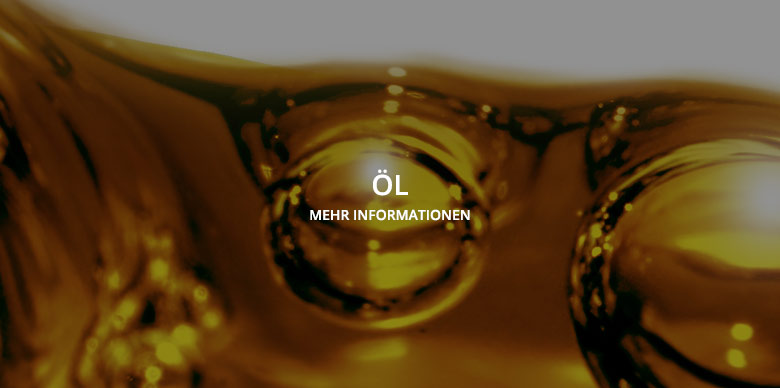 Pumpeneinsatz Öl