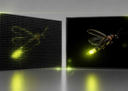 Example of a specialized display component (MiniLED)