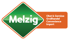 Melzig GmbH Logo