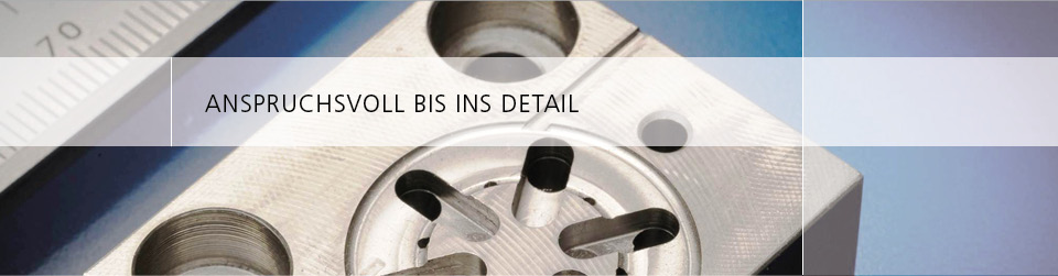 Anspruchsvoll bis ins Detail