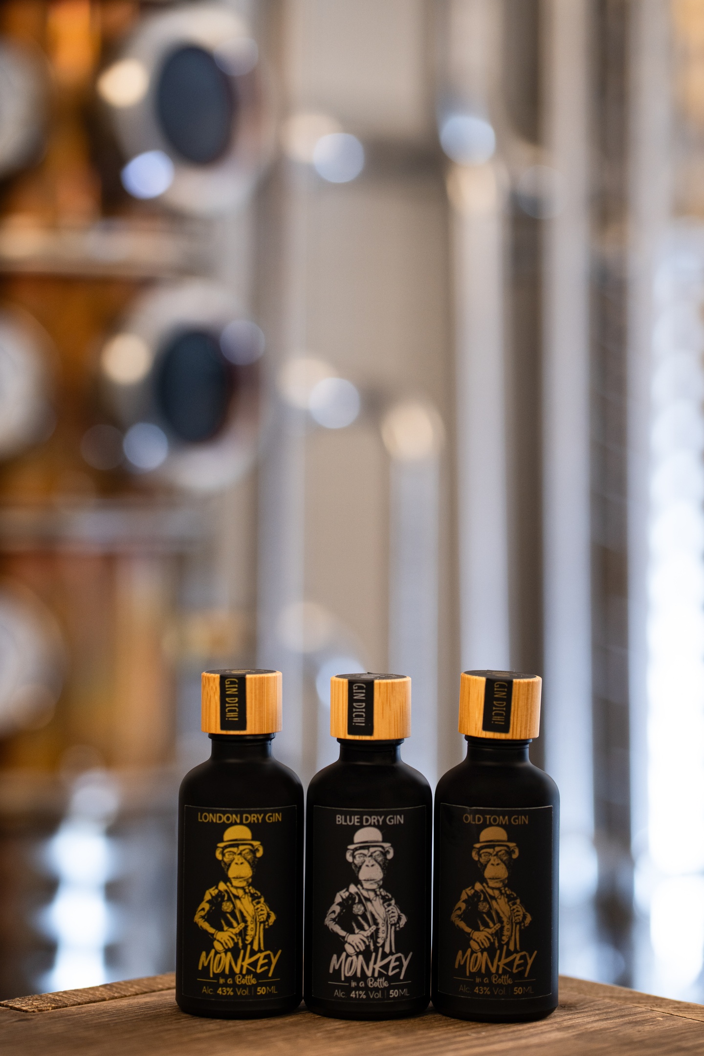 Gin-Brennworkshop