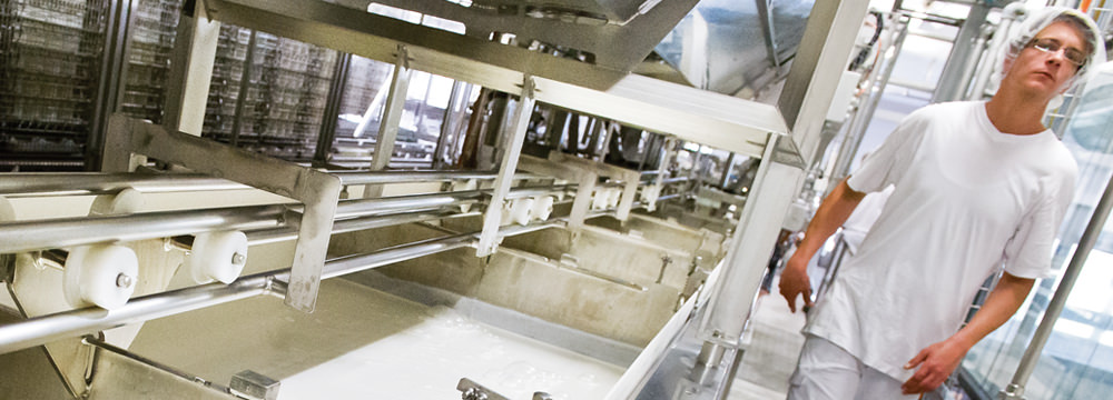Weichkäse-Produktion in Küssnacht am Rigi