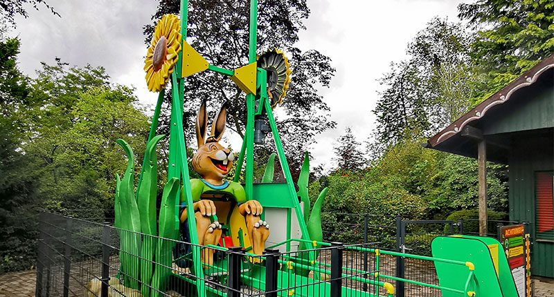 Jungle Loop
