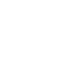 Zi-Stick (Zigbee USB-Dongle)