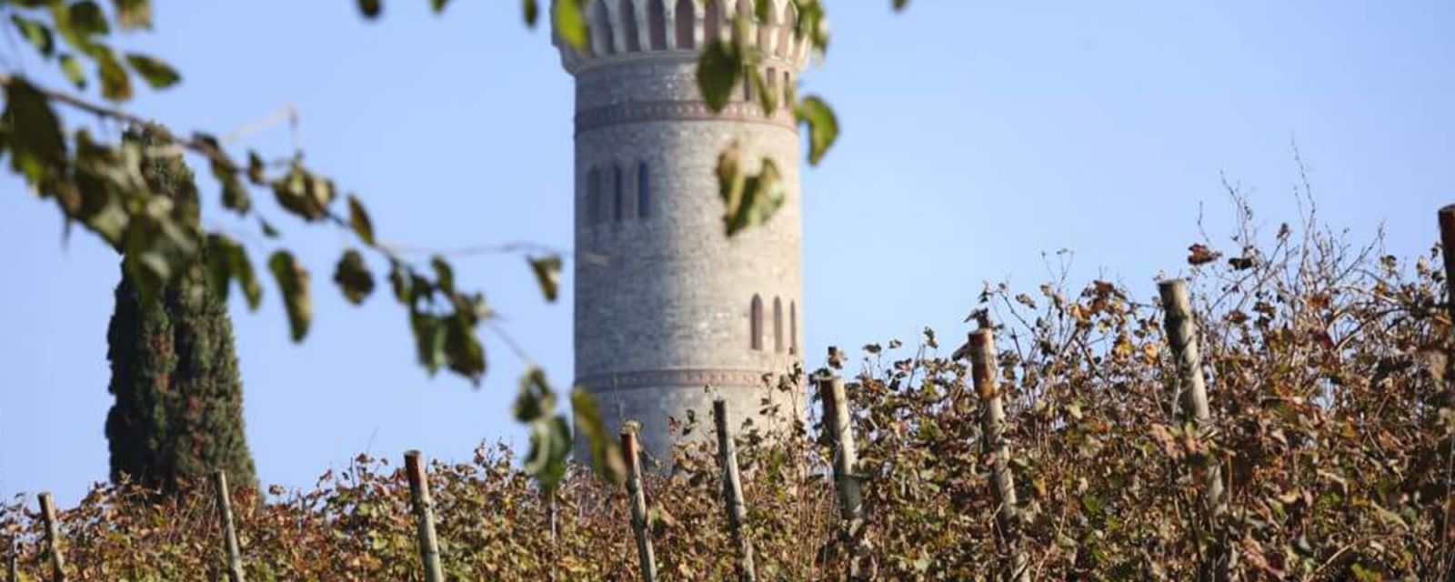 Weingut Cà dei Frati