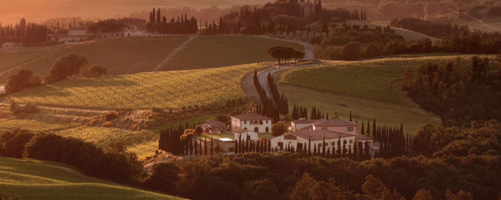 Weingut Caparzo