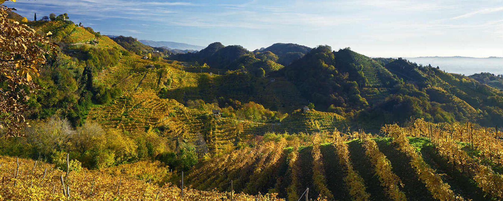 Weingut Adami