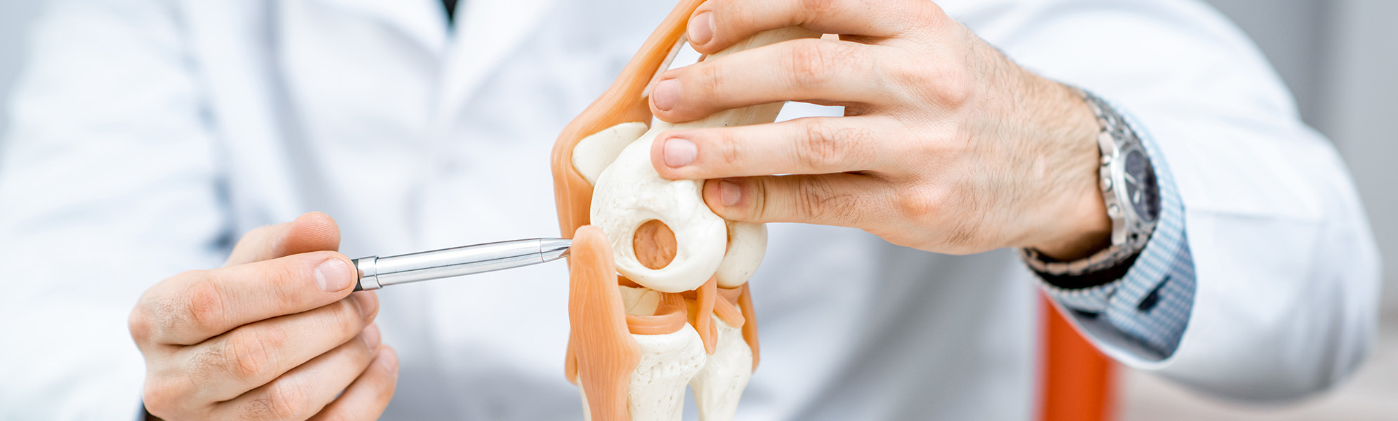 Orthopädie und Traumatologie