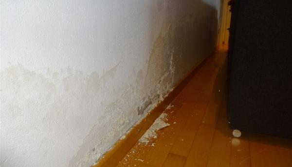 Ceiling and wall drying after water damage