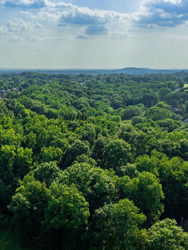 Carbon Credits