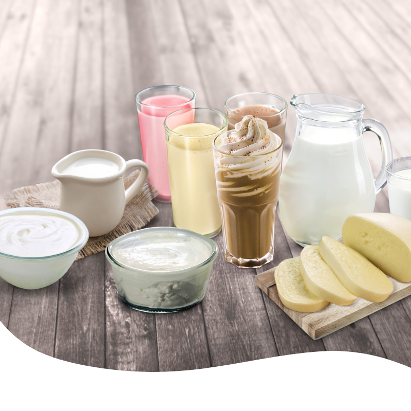 Produktsortiment Milchprodukte