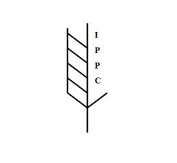 IPPC-Trocknung