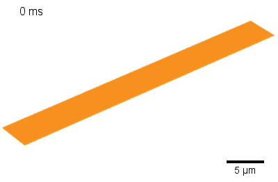 4D-Anwendung: Graphen-Membran