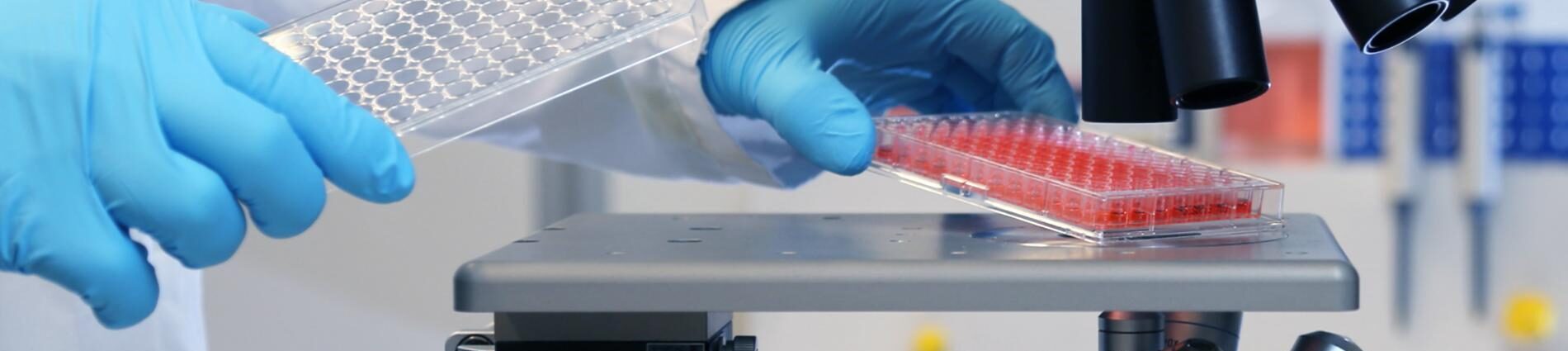 DHM für quantitative Phasenmessung in den Life Sciences