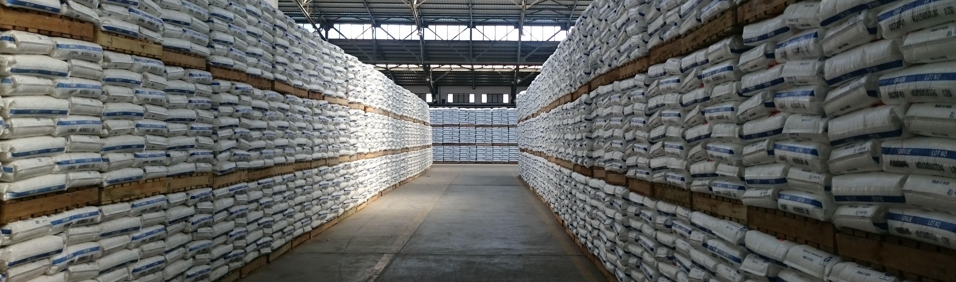 H. Rand GmbH – Firma