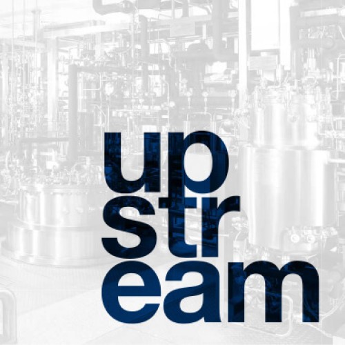 Upstream-Prozessanlage (Fermentation)