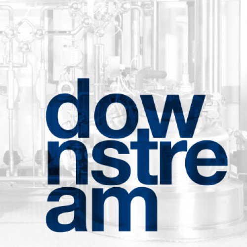 Downstream-Skid (Chromatographie/Filtration)
