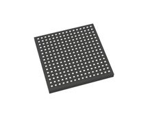 IC FPGA 256-FBGA