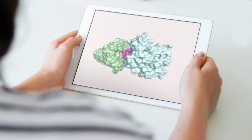Multispezifische Antikörper für die Tumortherapie