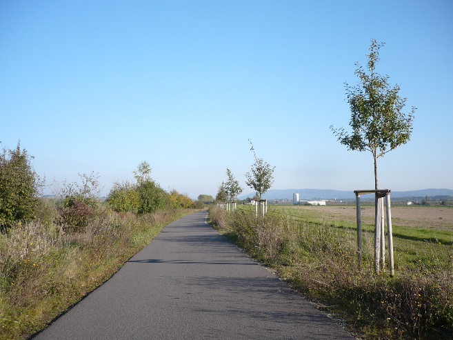 Landscape planning