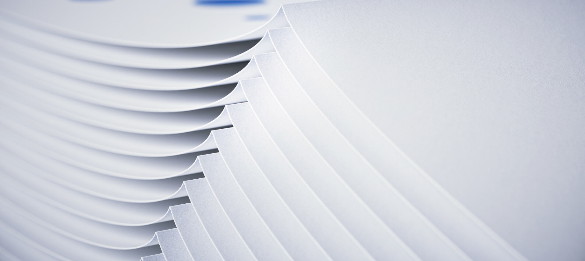 Brand Visual Precision