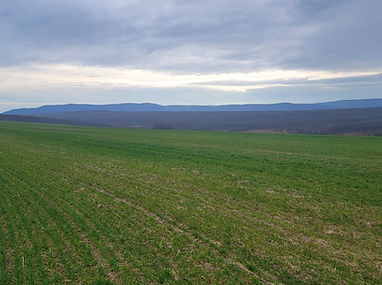 Standort Latschach