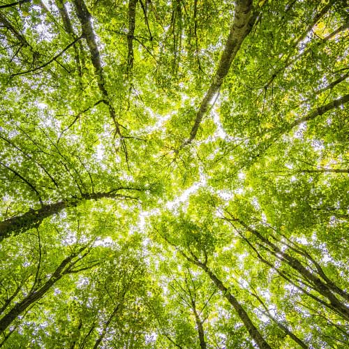 Sustainable use of resources