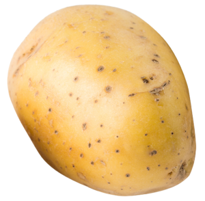 REGIOMAT – Kartoffeln