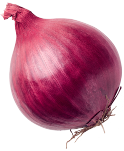 REGIOMAT – Zwiebeln