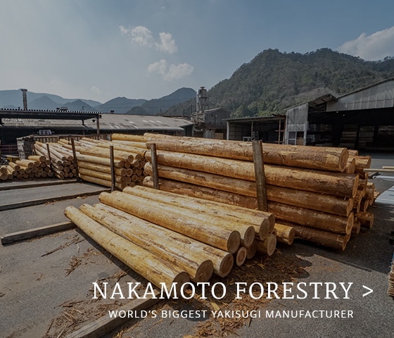 Standort Nakamoto Forestry Europe
