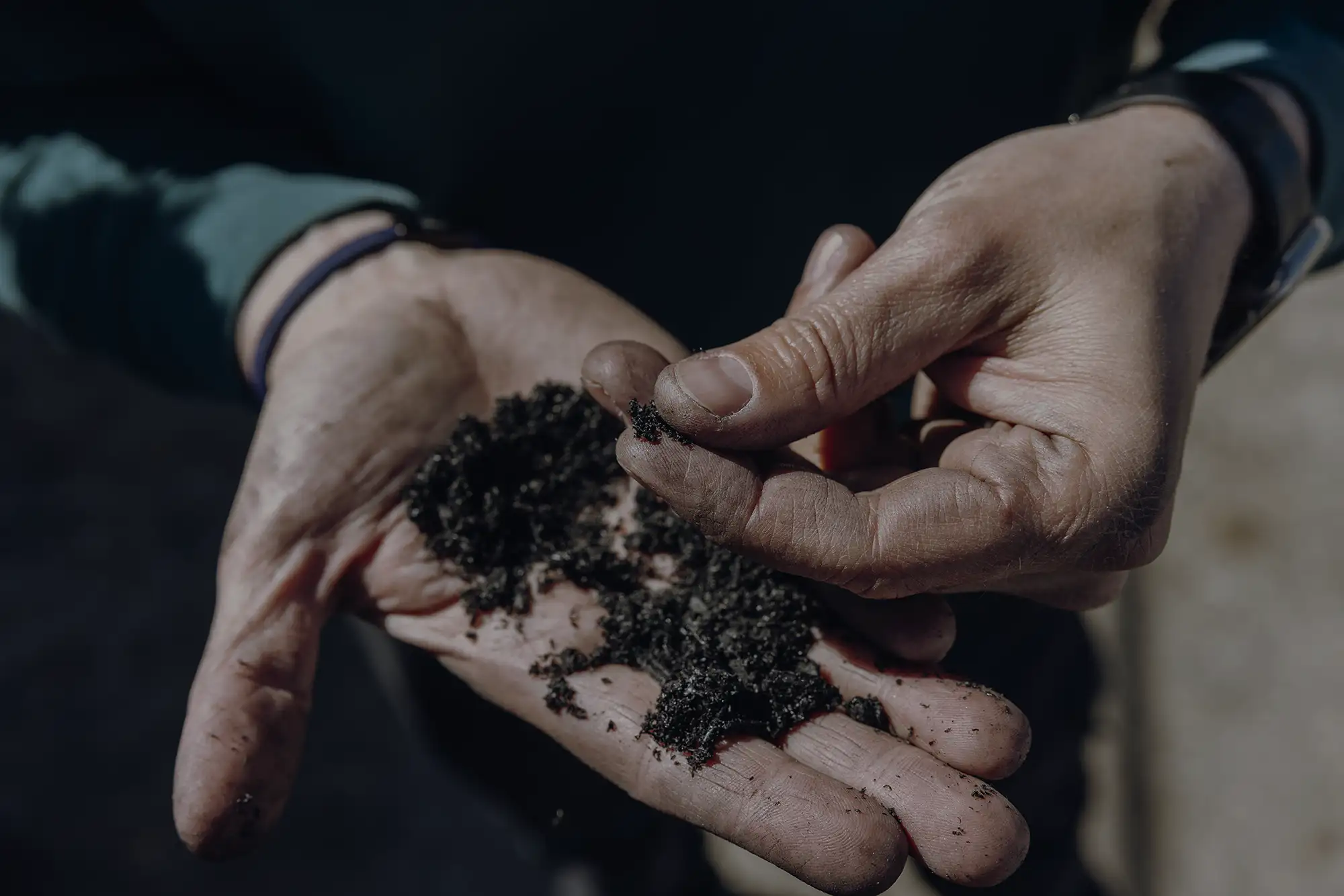 Pflanzenkohle (Biochar)