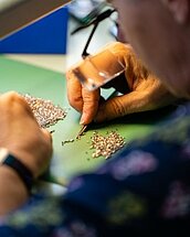 Neida Bärtschi AG, Biberist