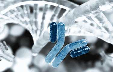 Biotech-Partnerleistungen