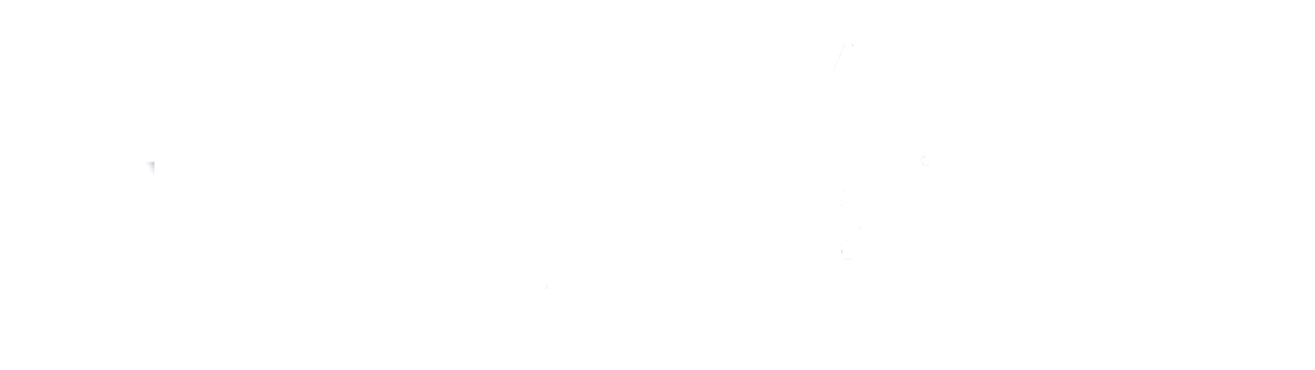 EXCEL Vision Logo