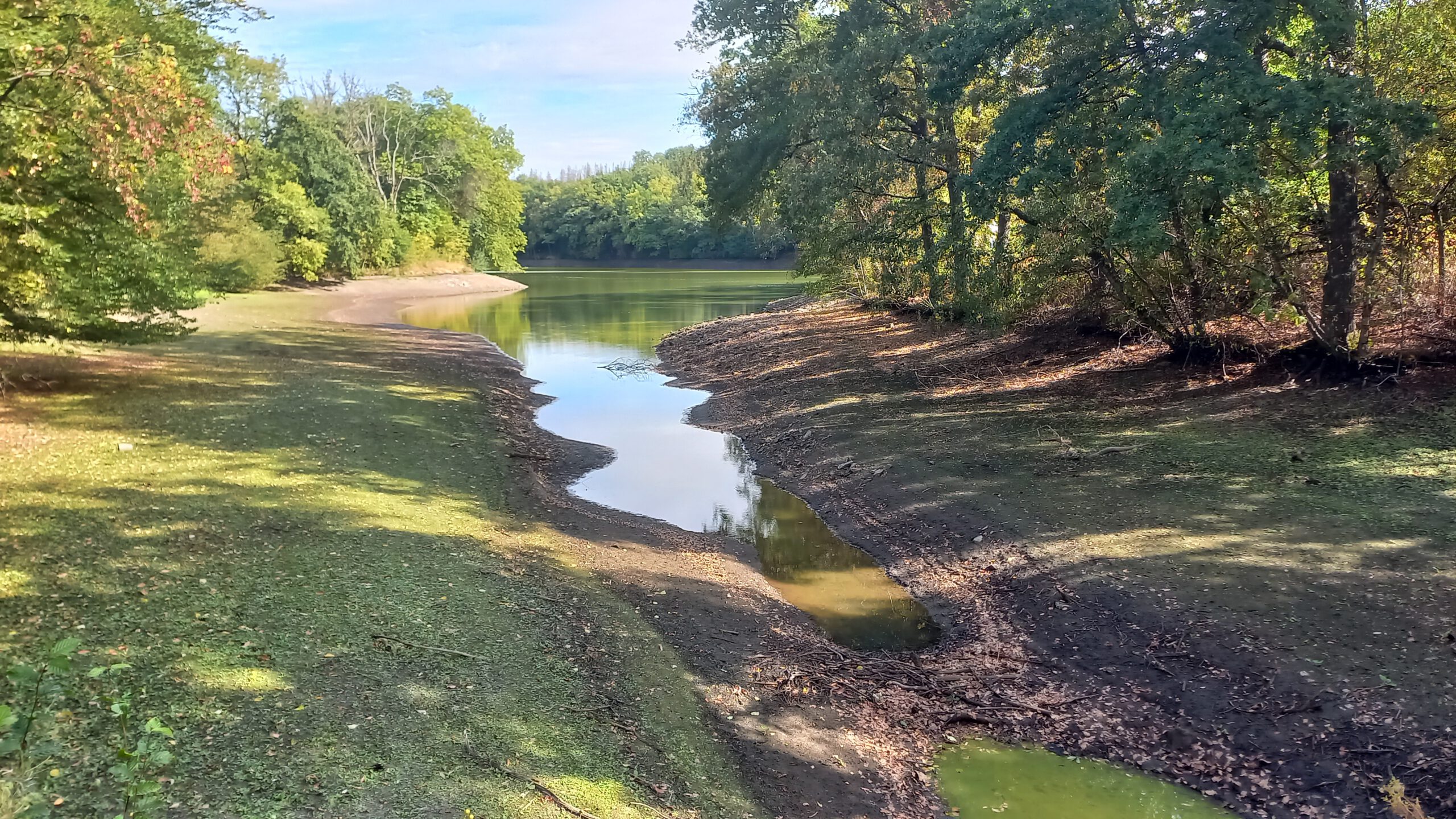 Titelbild SedimentWorks