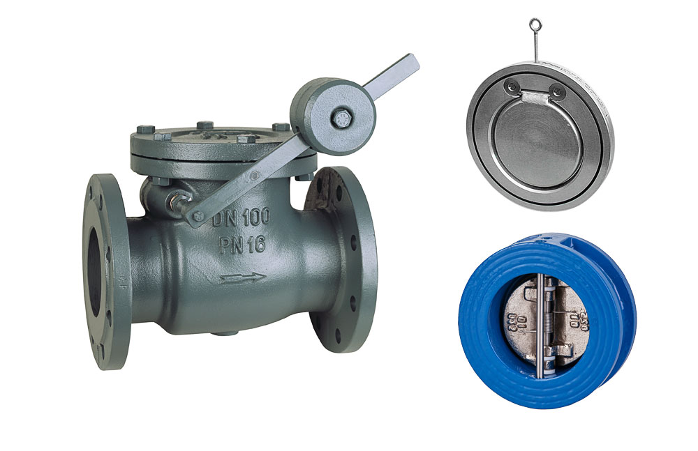 Swing check valves