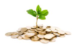 Leasing eines Palettenregals