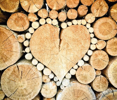 Brennstoff Holz – Grundlage der Biomasseheizungen
