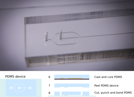 PDMS-Mikrofluidik-Chip (Soft-Lithographie)