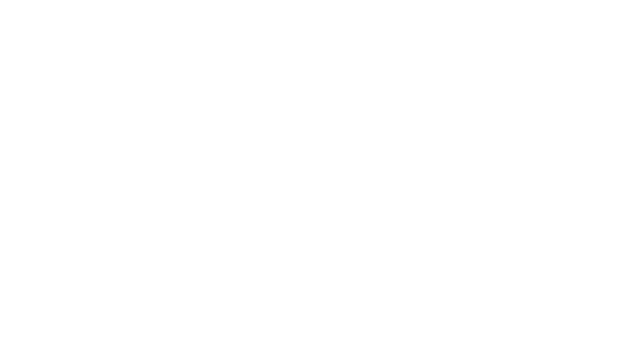 Partnersysteme Türautomatik