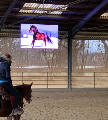 LED Display für Sport & Events